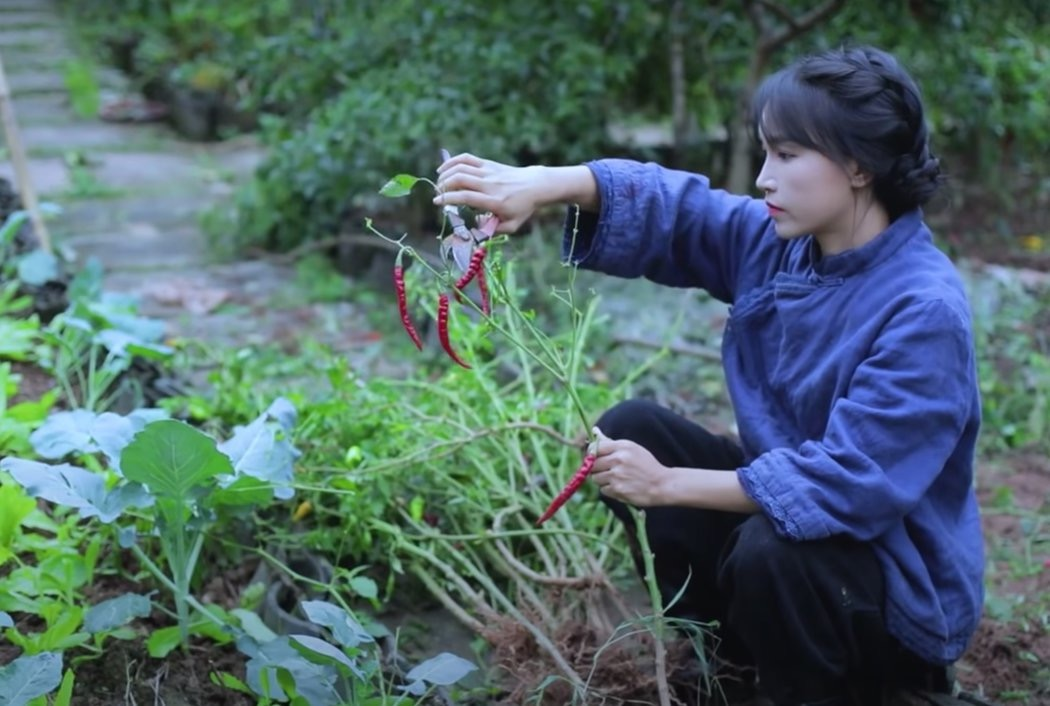 李子柒起诉资本下,mcn和网红的关系何去何从?